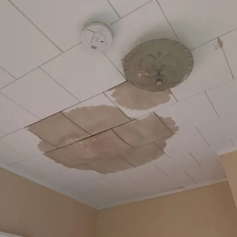 Ceiling Water Damage Repair in Burns, TN