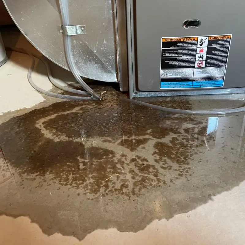 Pipe Burst and Leak Restoration in Burns, TN