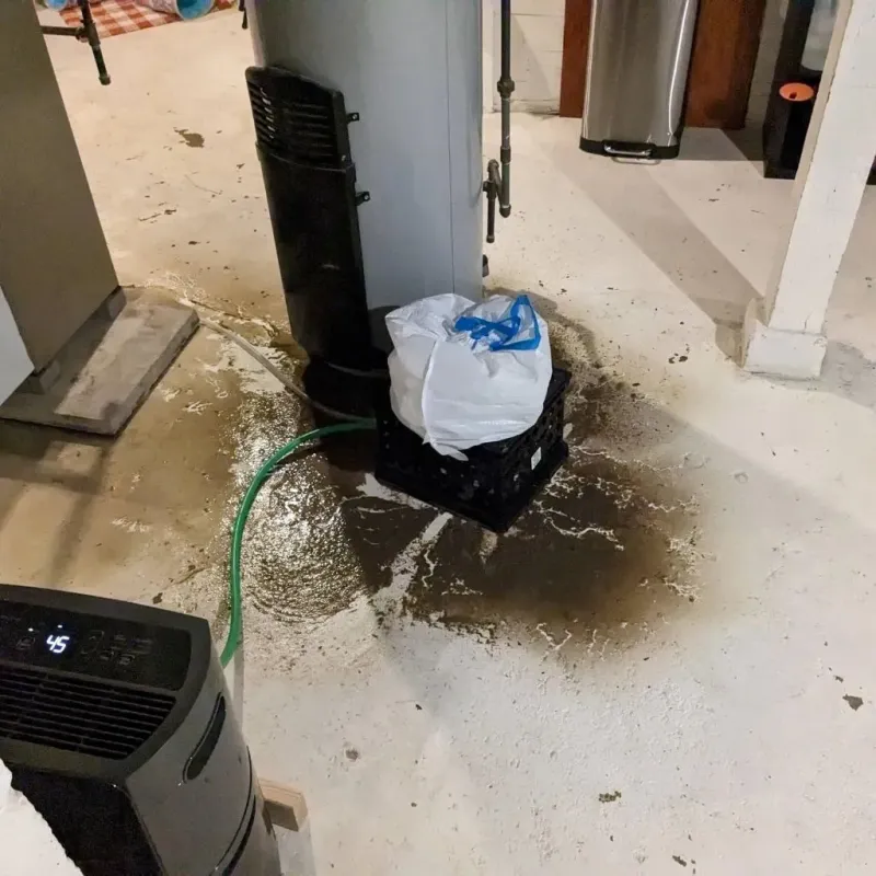 Sewage Backup Cleanup Service in Burns, TN